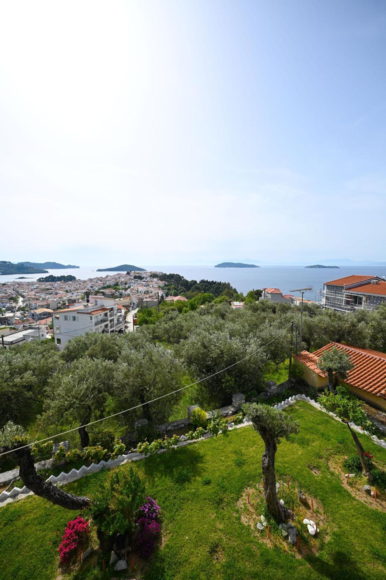 Makis Sea View Studios Skiathos Town Ngoại thất bức ảnh